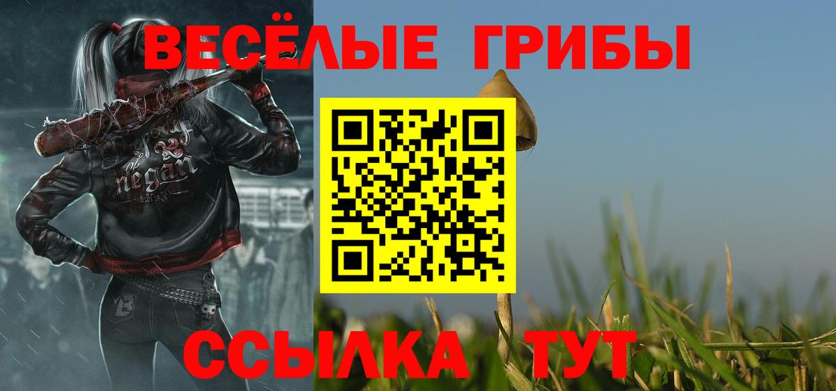 Псилоцибиновые грибы прущие грибы Фролово
